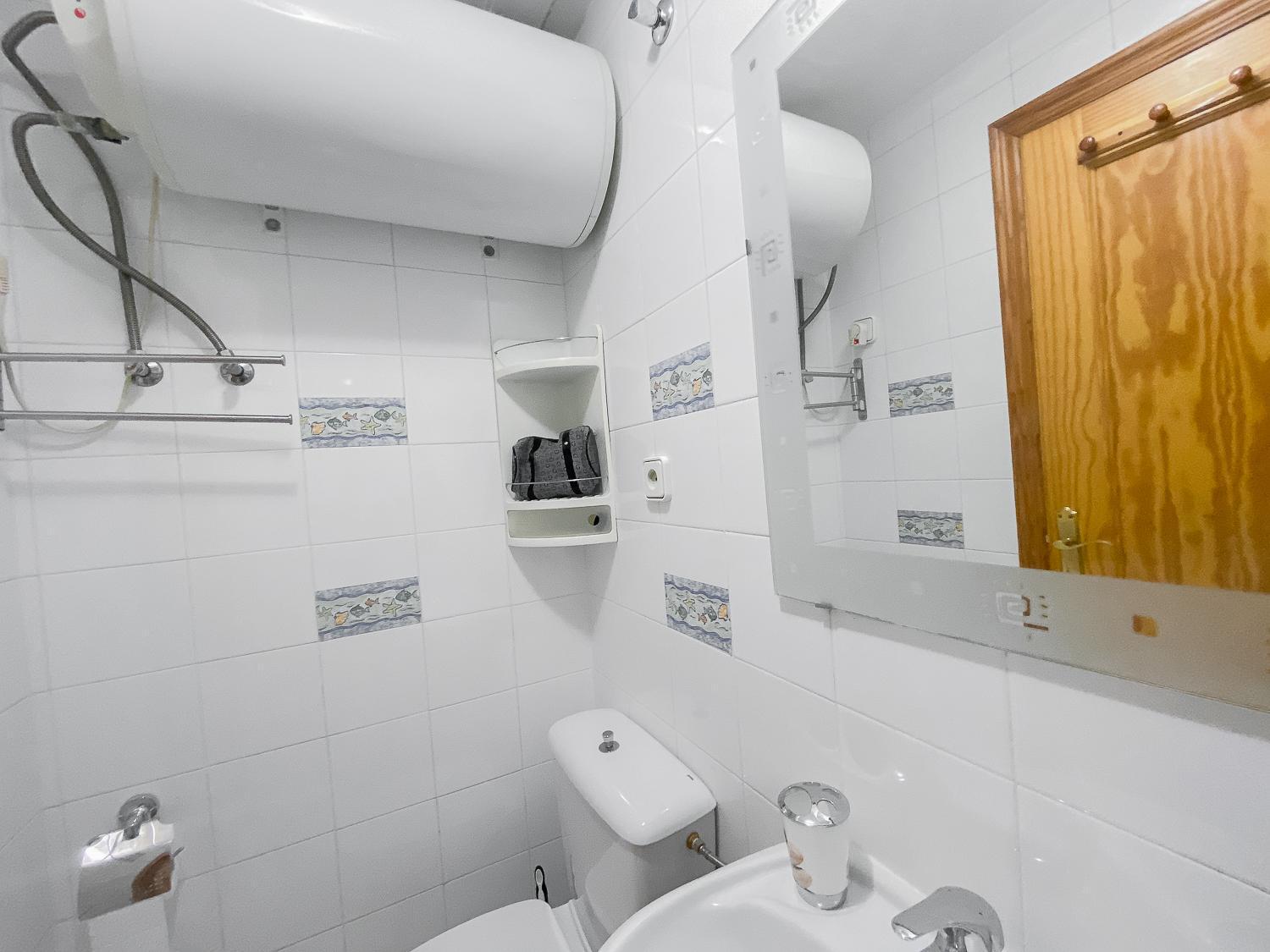 Estudio Plaza San Cristobal Apartment Alicante Exterior photo
